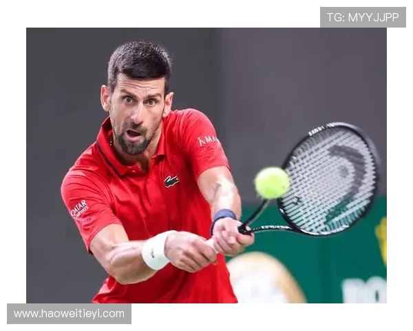 上海网球队在全国网球团队协作排行榜中荣获第八名的佳绩分析